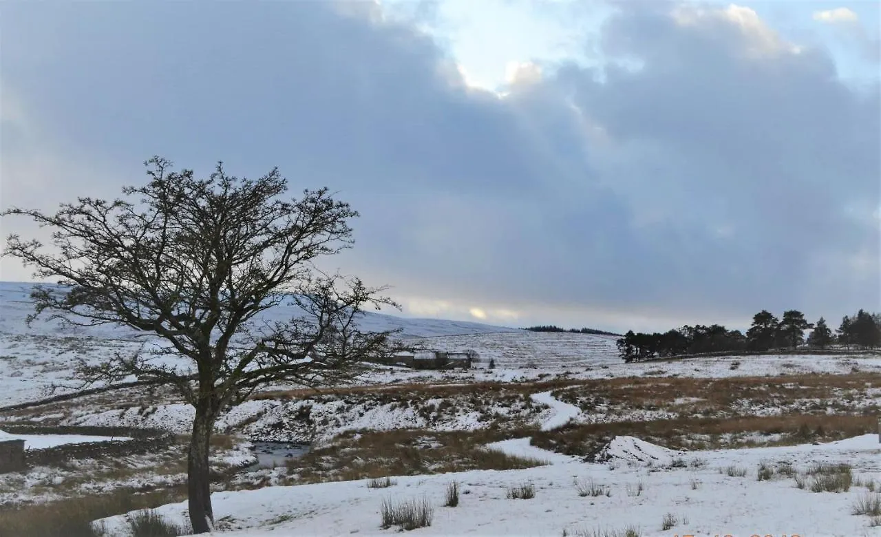 The Garsdale Bed & Breakfast - Goats And Oats At Garsdale Hawes